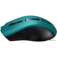 Мышь Canyon MW-5 (темно-бирюзовый)