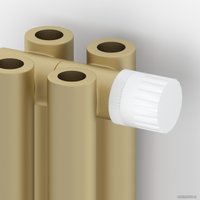 Стальной трубчатый радиатор Сунержа Эстет-00 EU50 500х360 8 секций (матовая шампань)