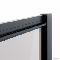 Душевая дверь Ambassador Forsa 110x200 17021217AB