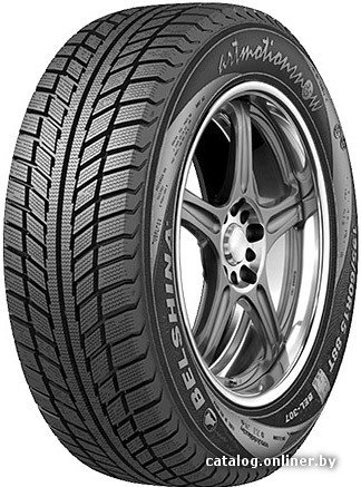 Зимние шины Белшина Artmotion Snow Бел-317 205/55R16 91T