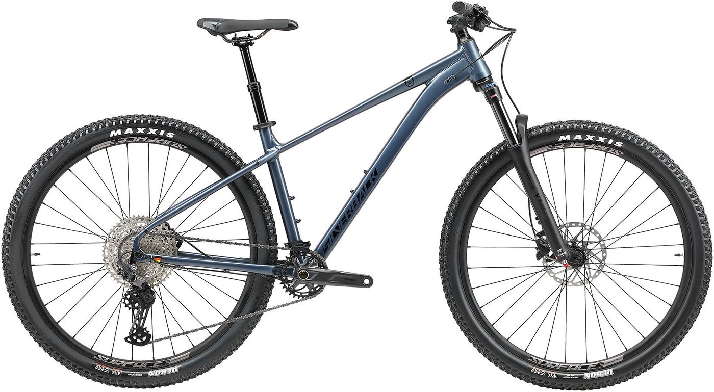 Велосипед Silverback SE:Series 12 29 L 2026 (matt glacier blue metallic)