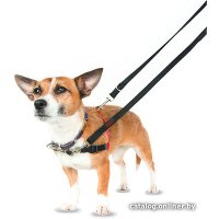 Шлея Halti Front Control 31209/COA (S, красный/черный) в Гомеле