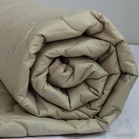 Одеяло Бэлио Верблюд зима тик (200x220 см)