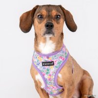 Шлейка-жилетка Puppia Lita-A PAWA-HA1959-PU-M (фиолетовый)