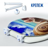 Сиденье для унитаза Еврокомфорт Ракушка 103-311-01В6 (мягкое)