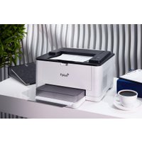 Принтер F+ PB301DN