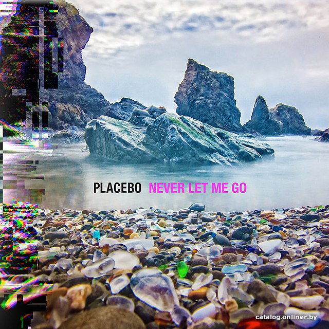Виниловая пластинка Placebo - Never Let Me Go