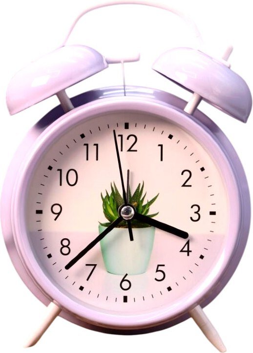 

Настольные часы ILikeGift Cactus Time 860-3-04