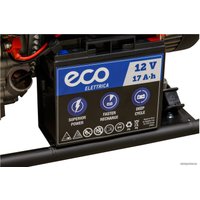 Бензиновый генератор ECO PE-9001E3FP