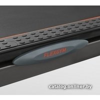 Электрическая беговая дорожка Bronze Gym T802 LC