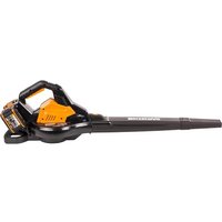 Колесная воздуходувка Worx WG583E (с 2-мя АКБ)