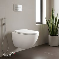 Унитаз подвесной Cerutti Amici Aria Tornado CT11388