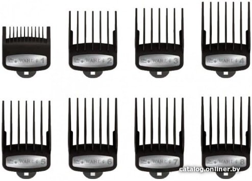 Набор Wahl 3171-600