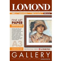 Фотобумага Lomond Smooth Natural White DS Archive A3 256 г/кв.м. 20 л [0910332]