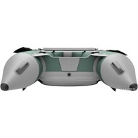 Моторная лодка Roger Boat Trofey 3100 (без киля, зеленый/серый)