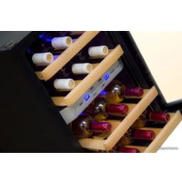 Винный шкаф Cold Vine C12-TSF2