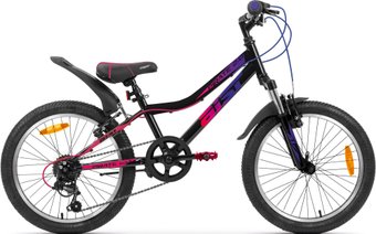 pirate2025bbr