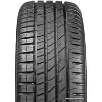 Летние шины Ikon Nordman SX3 195/55R16 91H