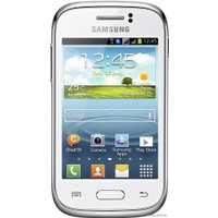 Телефон Samsung Galaxy Young (S6310)