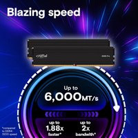 Оперативная память Crucial Pro 24ГБ DDR5 6000 МГц CP24G60C48U5 в Бресте