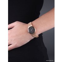 Наручные часы Skagen SKW2189