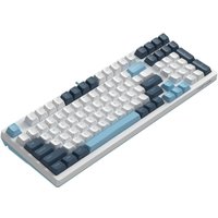 Клавиатура A4Tech Fstyler FS300 Panda Snowboarding