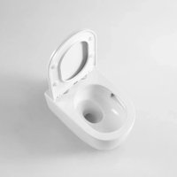 Унитаз подвесной Berges Wasserhaus Tornas Rimless + Visam Slim 525 EX-043408 (с кнопкой, с сиденьем)