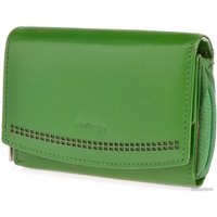 Кошелек Bellugio AD-118R-330 (зеленый)
