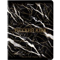 Тетрадь предметная BRAUBERG Marble 404326 (12шт)