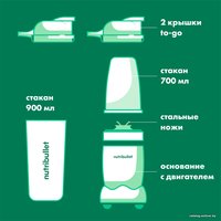 Стационарный блендер NutriBullet NB100DG Pro