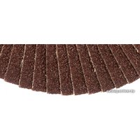 Шлифовальный круг Targ 663405