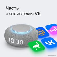 Умная колонка VK Капсула Мини (светло-серый)