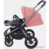 Универсальная коляска Rant Flex Pro RA074 2023 (2 в 1, pink)