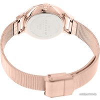 Наручные часы Skagen SKW2151