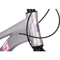 Велосипед Cord 5Bike 26 M300 2025 CRD-M5-2611-15 (цветущая сакура)