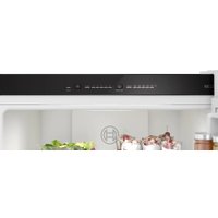 Холодильник Bosch KGN33NSDB