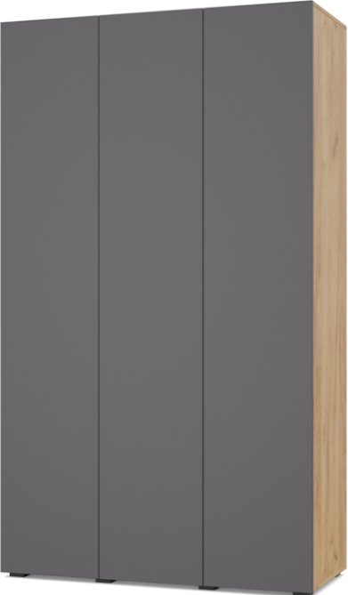 Шкаф распашной Modern Челси Ч35 (золотой дуб/графит)