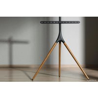 Стойка для телевизора CACTUS CS-ST1246BKWN