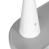 Парта Anatomica Avgusta + стул + выдвижной ящик + подставка (клен/серый)