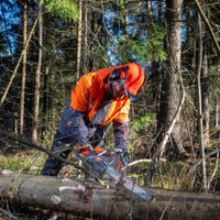 Бензопила Daewoo Power DACS 5218XT