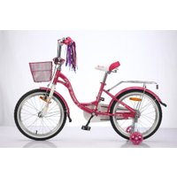 Детский велосипед Delta Butterfly 2007 20 (розовый)