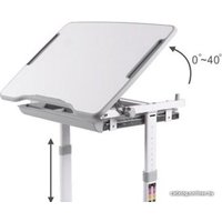 Парта Растущая мебель New Elfin B201S (розовый)