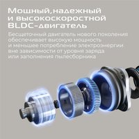 Пылесос RED Solution Soft Clean V3010