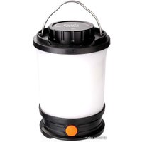 Фонарь Fenix CL30R (черный)