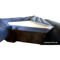 Моторная лодка Reef 325НД