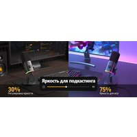 Проводной микрофон Maono PD100X (черный)