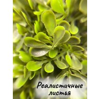 Искусственное растение Merry Bear Home Decor Самшит Трапецевидный KA0039