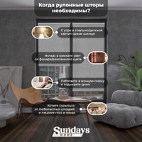 Рулонные шторы Sundays Home LM 97-08 38х160 (светло-серый)