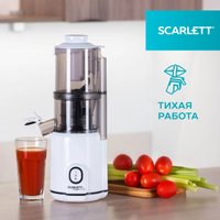Соковыжималка Scarlett SC-JE50S63 в Бресте