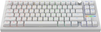 io281